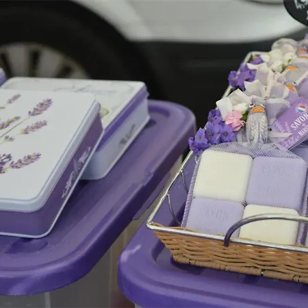 Calme, 4 Couchages, Proche Et Commerces, Terrasse Exposee Sud, Parking Privatif - Fr-1-251-508 Lägenhet Le Lavandou