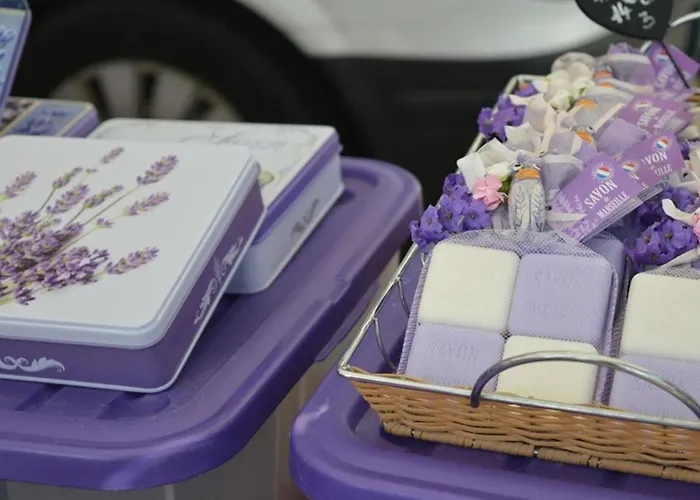 Calme, 4 Couchages, Proche Et Commerces, Terrasse Exposee Sud, Parking Privatif - Fr-1-251-508 Apartman Le Lavandou