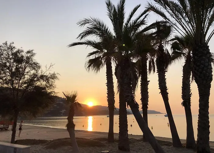 Calme, 4 Couchages, Proche Et Commerces, Terrasse Exposee Sud, Parking Privatif - Fr-1-251-508 * Le Lavandou